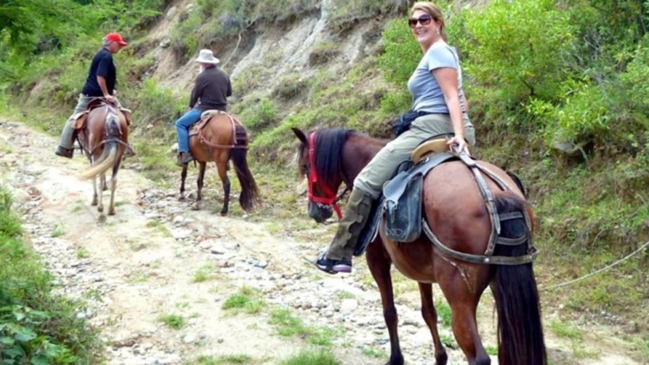 Equestrian tour in Garni Gorge