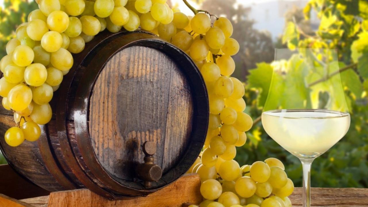 The cradle of winemaking: wine tour in Armenia