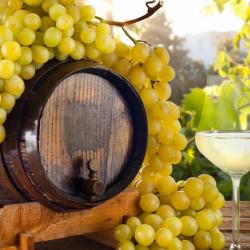 Колыбель виноделия: Винный тур в Армении